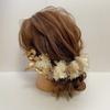 Dried Flower Hair White and Japanese Hair Accessory Ornament, Gold, Headpiece, Coming-of-Age Ceremony, Wedding, Clothing, Baby's Breath, Furisode,