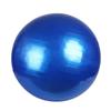 Diameter 45Cm Pvc Fitness Balls Yoga Ball Balance Stability Thickened Explosion-Proof Exercise Home Gym Pilates Equipment