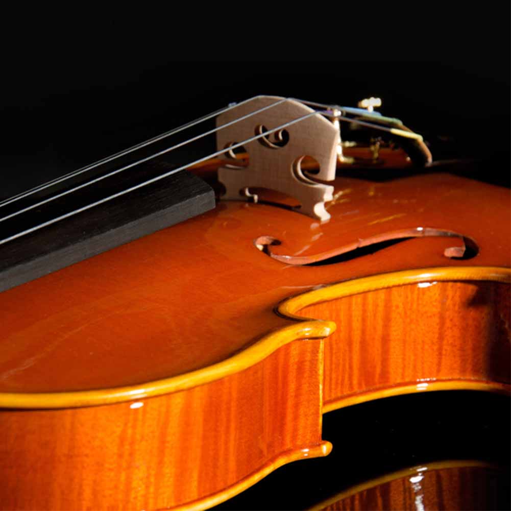 5 Pcs Premium Maple Wooden Violin Bridge Violin Accessory Part  for Instrument Learner(1 8)