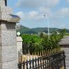 48-LED Solar Street Light with Aluminum Alloy & Intelligent Light Sensor for Courtyards