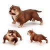 Educational Bulldog Model Animal Model Pitbull Figurine Simulation Bulldog  Collection