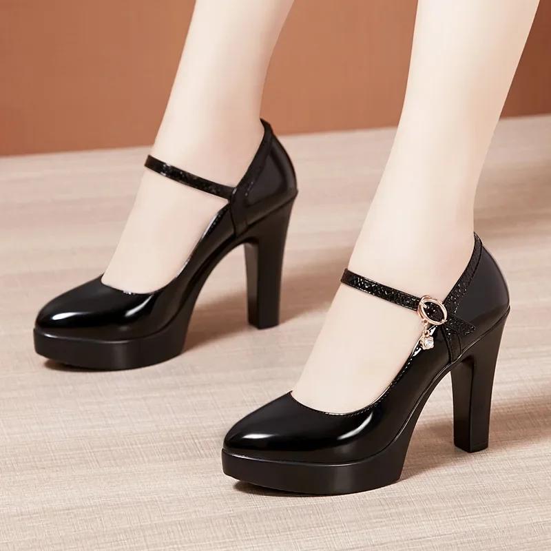 8 10 13cm Small Size 32-43 Elegant Thick Bottom Platform Pumps Women 2025 Fall Block High Heels Shoes Dress Model Office Party
