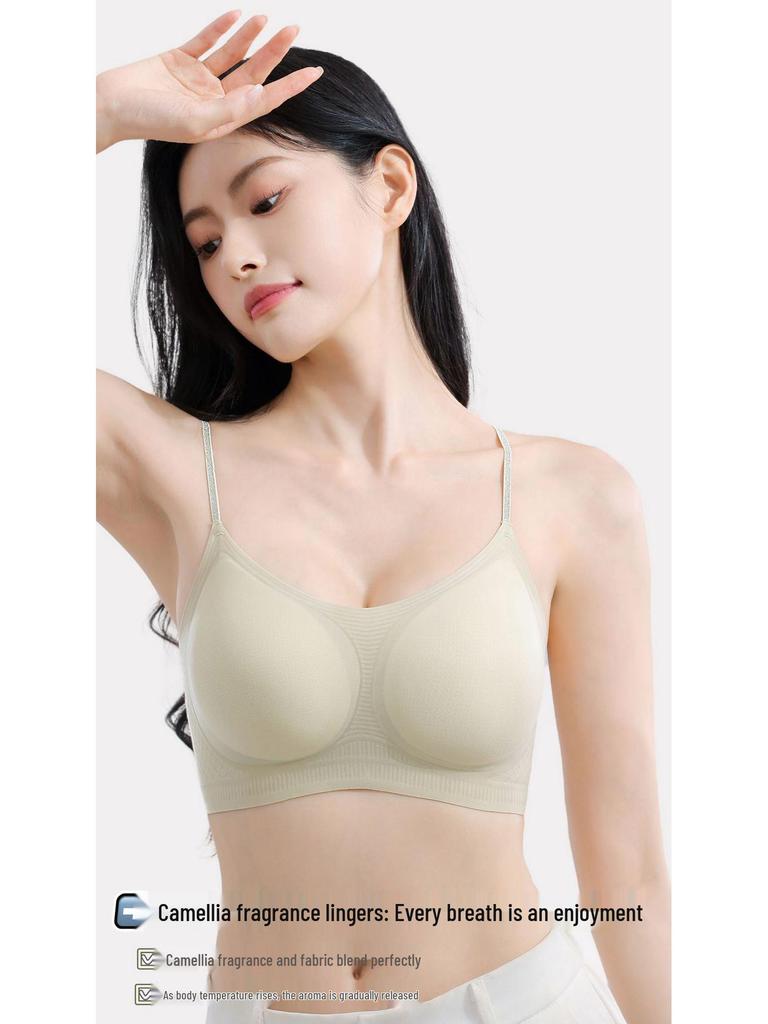 Seamless Push-Up Shaping Bra: Comfortable, Wire-Free Support for Women
