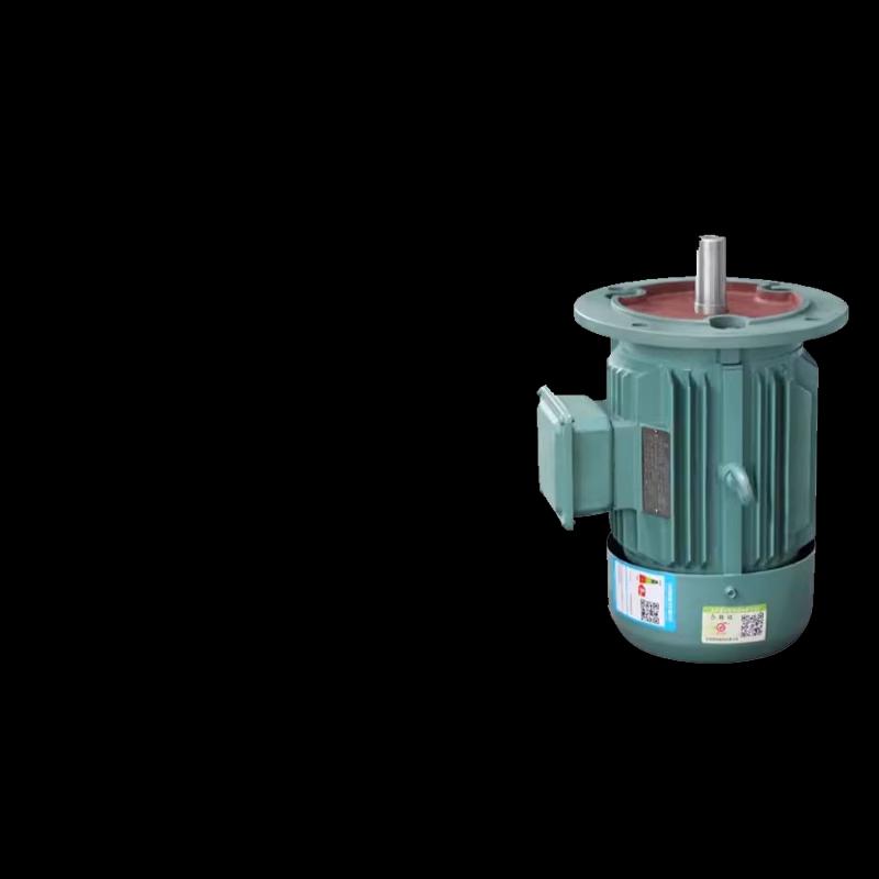 YE3 Series High-Efficiency Electric Motor