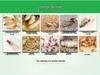 Indoor Termite Bait Box - Effective White Ant Control Treatment