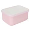 The School Lunch Plus PK Bears' [Lunch Box] S/Hanakanmuri