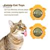 Wall Catnip Ball Toy Rotatable Catnip Ball Lick Treats Catnip Toy Sheep Shape Toy with Dust-Proof Cover for Cat Oral Health