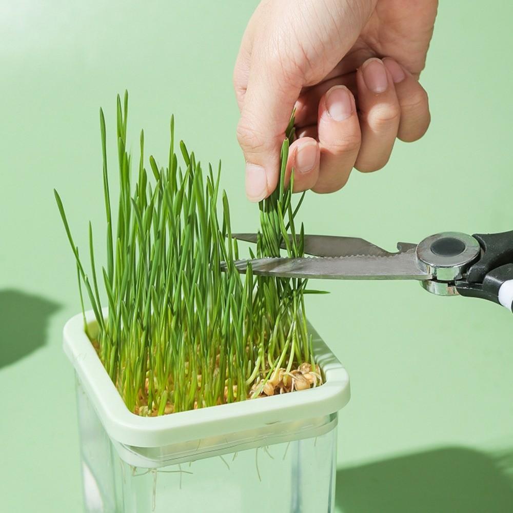 Layered Cat Grass Box Planter Detachable Microgreens Growing Box Indoor Growing