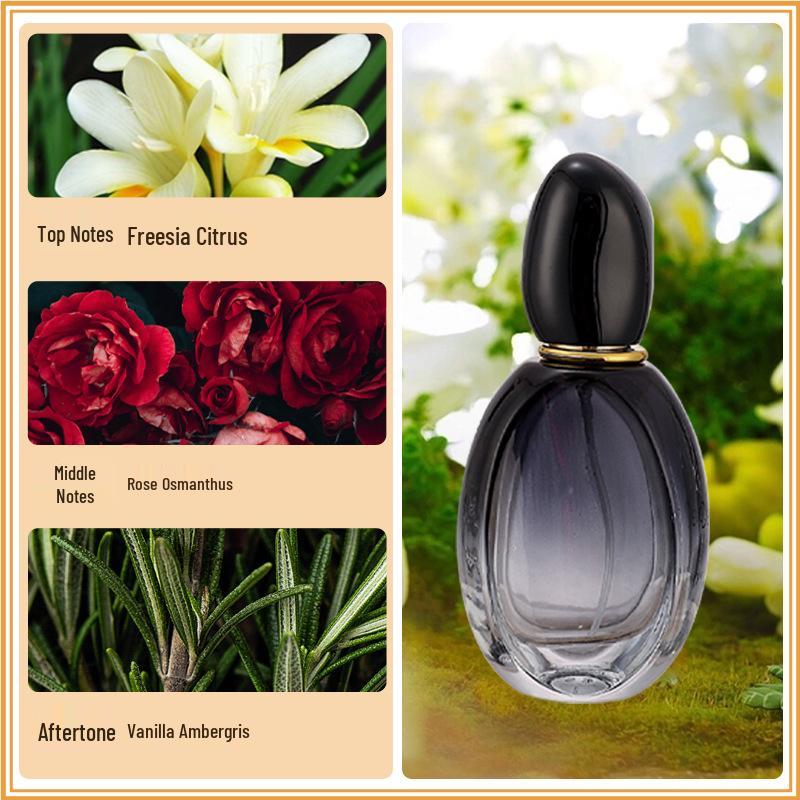 Azure Net Red Light Pink Encounter Women's Long-Lasting Fragrance Perfume - Unisex Alternative