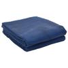 Blue Tent Carpet 6x3 M