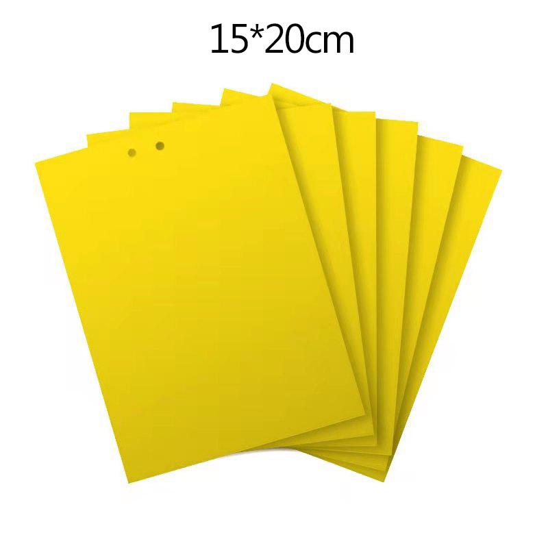 10/50 Stück gelbe Insektenfallen zum Einfangen von Obstgarteninsekten und stark haftenden Schädlingen