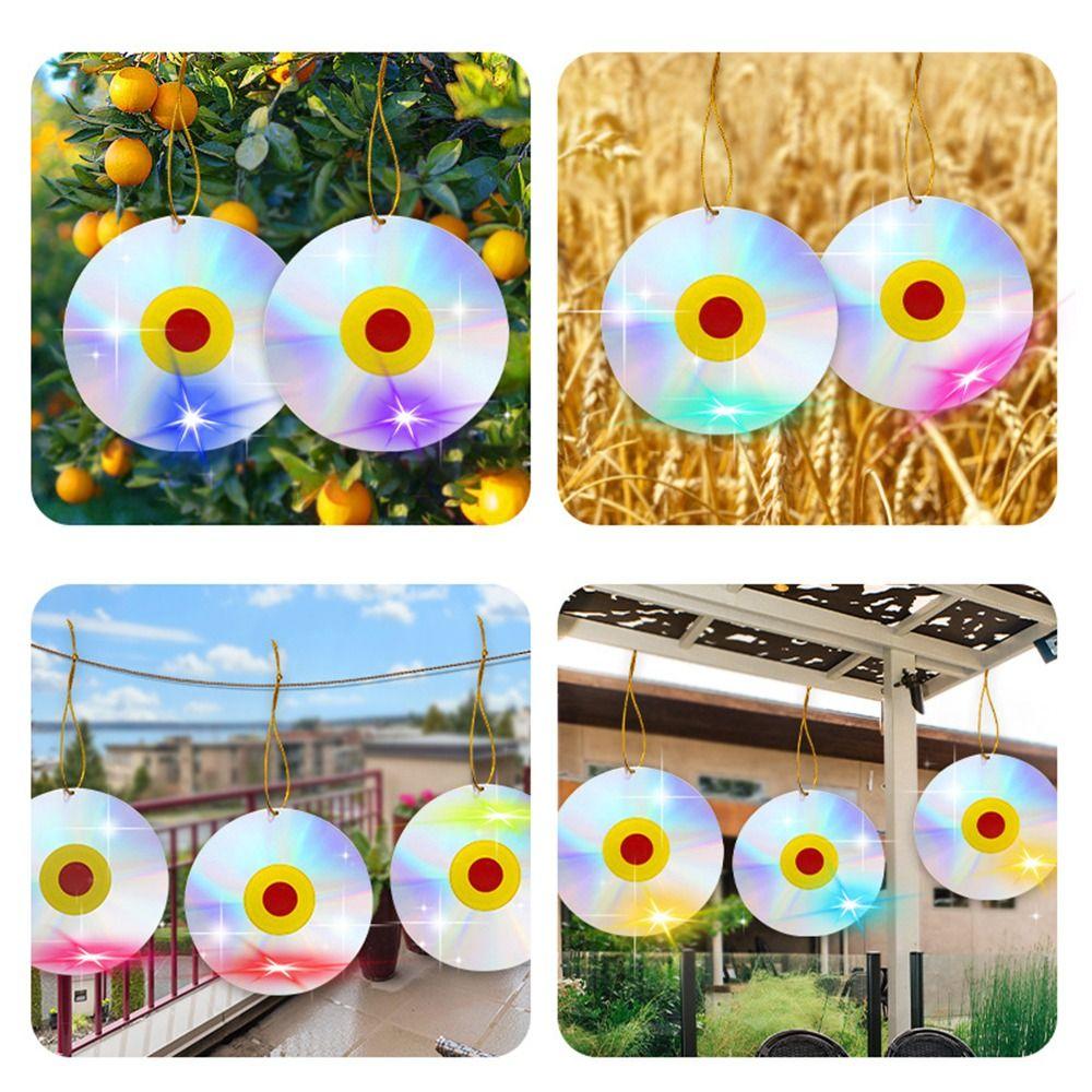 To Keep Birds Away Bird Repellent Disc Easy To Use Bird Repellent CD  Garden