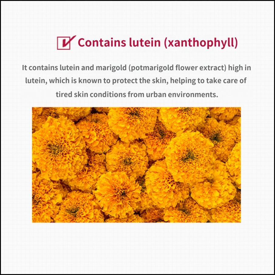 MISSHA Time Revolution The First All Day Cream 50ml Lett Daglig Fuktighetskrem for Strålende Hud