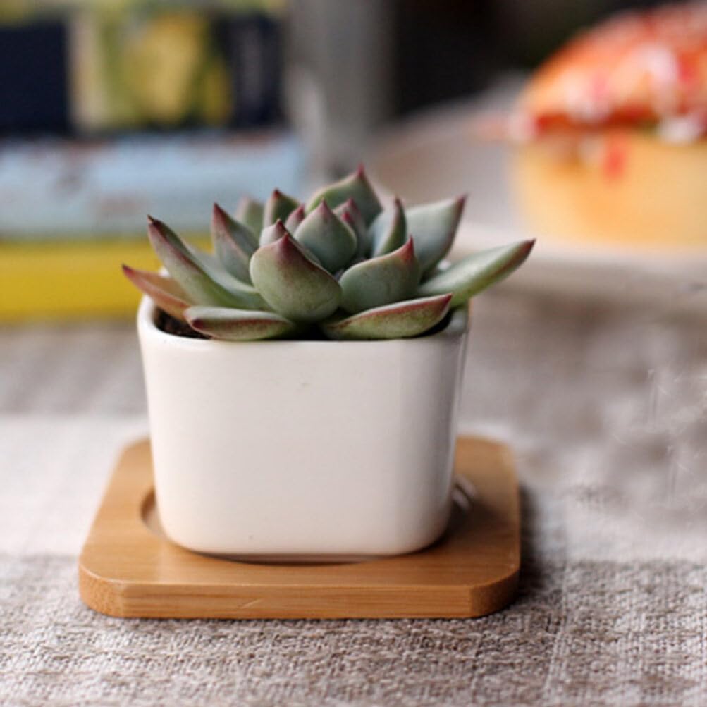 Amosfun Set of 3 Mini Ceramic Plant for and Baby Shower Simple Pots, White, Square, Tabletop, Succulents, Cacti, Herbs, Decorations. Design.