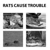 Rat Cream For Outdoor, Indoor, And Engine Use To Repel And Against Rats.