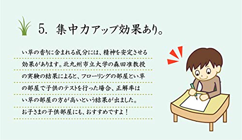 IKEHIKO Igusa Rug, Made in Japan, Triple-Weave, DX Gradient Green, Approx. 140 x 200 cm, with Backing #1709700