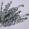 1Pc Fake Flower Artificial Decoration Eucalyptus Leaf Shape Fashion 3 Branches Eucalyptus Leaf Fake Plant for Home