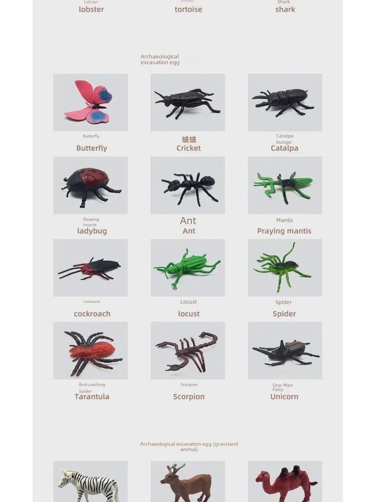 Neues Tierausgrabungs-Entdeckungsset: Ozean- & Grasland-Insektenerkundungsspielzeug für Kinder