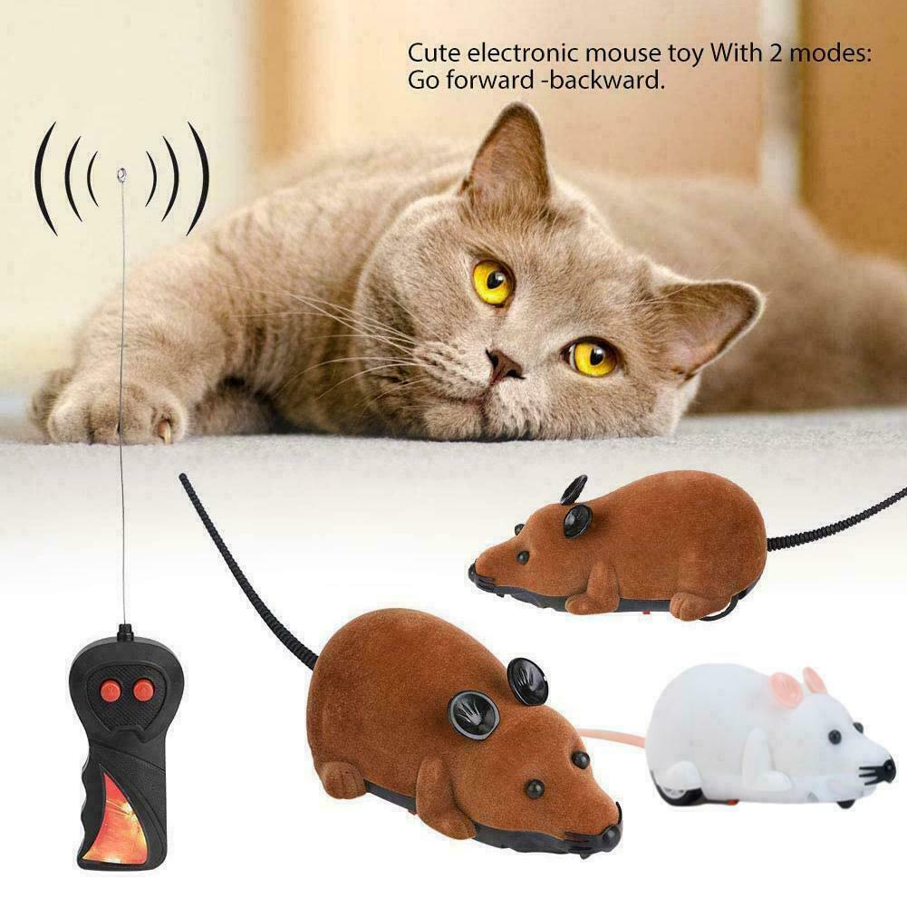 electronic mouse cat toy