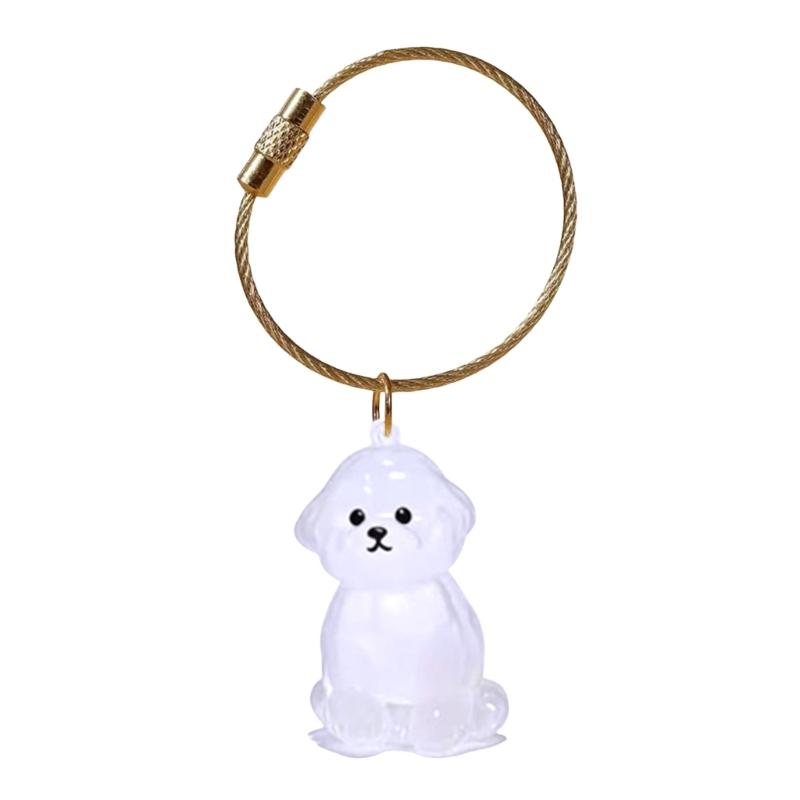 Elegante Chaveiro Memorial para Perda de Animal de Estimação Apresenta Compartimento Visível para Armazenamento de Pelos e Chaveiro Durável para Caixa de Pelos de Animal de Estimação
