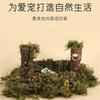 Golden Bear Hamster Tunnel: Fir Wood Tree Stump Toy for Hiding, Teeth Grinding, and Boredom Relief