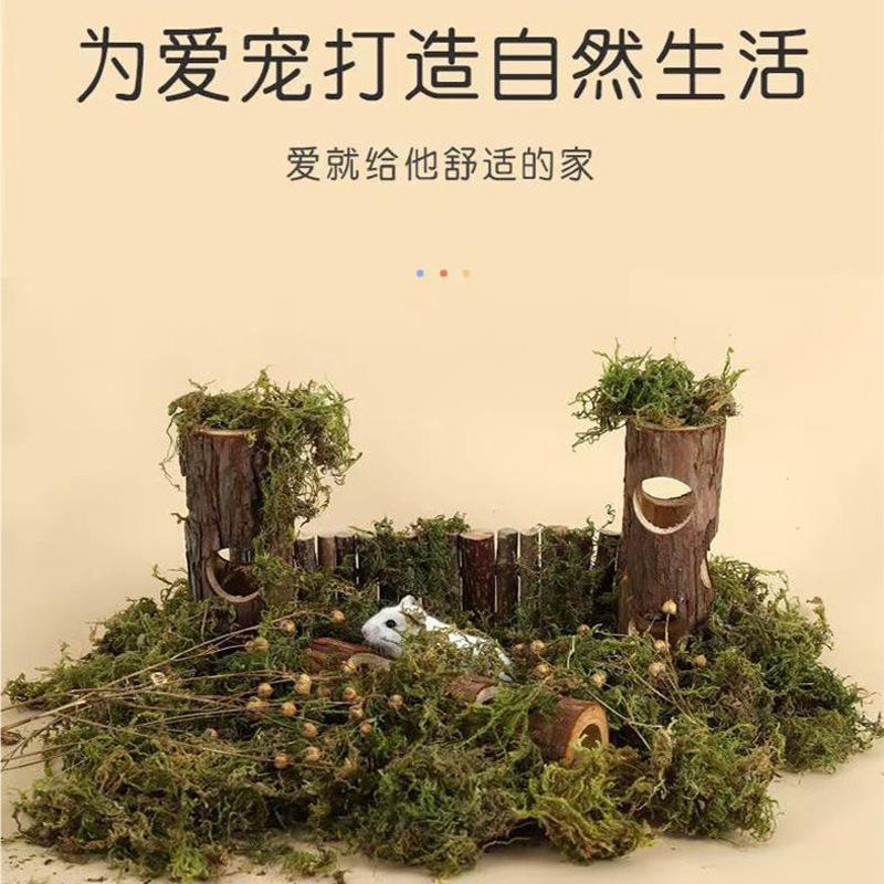 Golden Bear Hamster Tunnel: Fir Wood Tree Stump Toy for Hiding, Teeth Grinding, and Boredom Relief