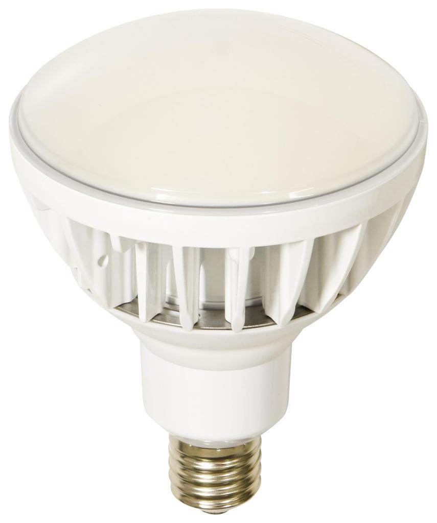 Nichido Industrial LED Floodlight 50W L50V2J110W50K