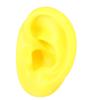 Soft Silicone Simulation Left Human Ear Model Ear Display Teaching Aid Model