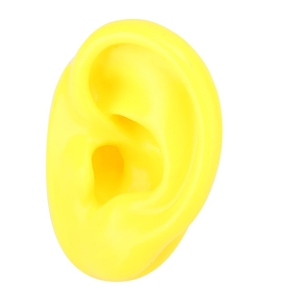 Soft Silicone Simulation Left Human Ear Model Ear Display Teaching Aid Model