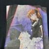 [USED] EVANGELION Evangelion T-shirt Asuka Anime ANIME
