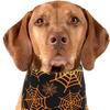 Dog Bib For Halloween Festives Party Costume Soft Washable Fabric Pet Bandana Holiday Celebration Accessory