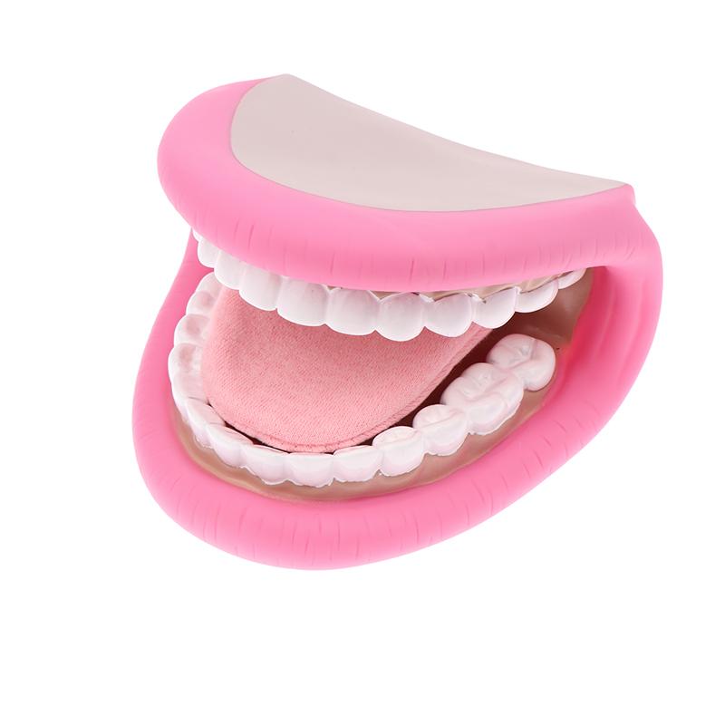 Kids Mouth Hand Puppet 28 Teeth Tongue Mouth Puppet For Speech Improvement Mouth Puppet For Speech Learning