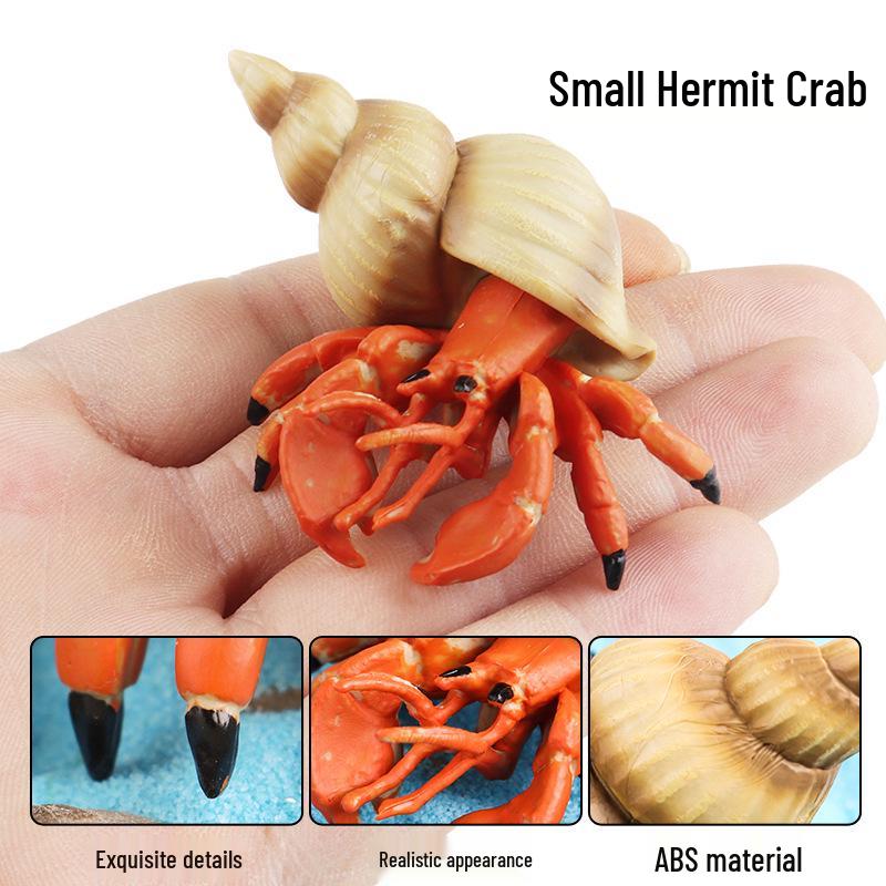 Children's Cognitive Toy: Hermit Crab Marine Animal Model Ornament