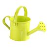 Mini Gardening Water Pot with Handle Tote Candy Color Metal Planting Pot for Kids Small Portable Indoor Watering Dropshipping