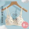 Girls' Underwear High School Students' Development Period Anti-expansion and Sagging Correction Two or Three Stages Styling Bra Fixing Cup
