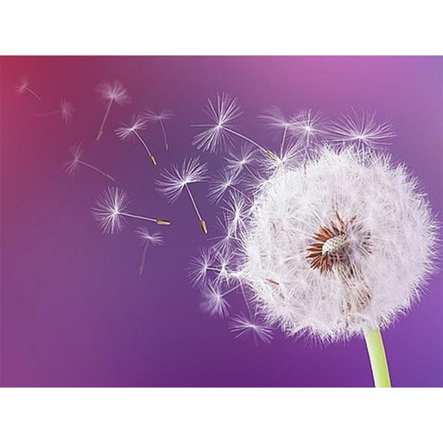 5D Diamond Painting Flower Rhinestone Picture Full Round Diamond Embroidery DIY Mosaic Art Decoration Rhinestone Gift