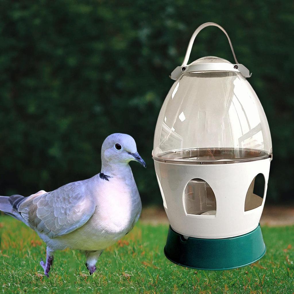 Komfortabler Tauben-Wasserspender Tränke Erhöhtes Basisdesign 2L Klare Sichtbare Wasserstandstränke für Vogel Huhn
