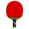 Double Fish 5A+E Table Tennis Racket (Single)