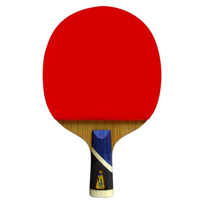 Double Fish 5A+E Table Tennis Racket (Single)