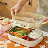 Divided Insulated Lunch Box 900/1400ML Compartment Lunch Box Stainless Steel Lunch Box  Worker
