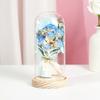 New Rose Lantern Glass Cover Immortal Bouquet Gypsy Dried Flowers Carnations Teachers' Day Qixi Festival Valentine's Day Gift