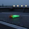 Luminous Cuttlefish Lures 1/5/10Pcs Horizontal Plated Squid Jigs for Coastal Saltwater Fishing