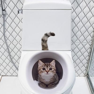 Self-Adhesive 3D Toilet Lid Stickers Funny Cat WC Sticker Cute Toilet Seat Decals