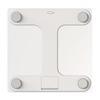 Little Bear Smart Body Fat & Weight Scale (CN Version)
