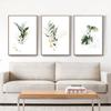 Watercolor Plant Canvas Poster Leaf Botanical Art Print Minimalist Painting Nordic Style Picture Modern Living Room Decoration