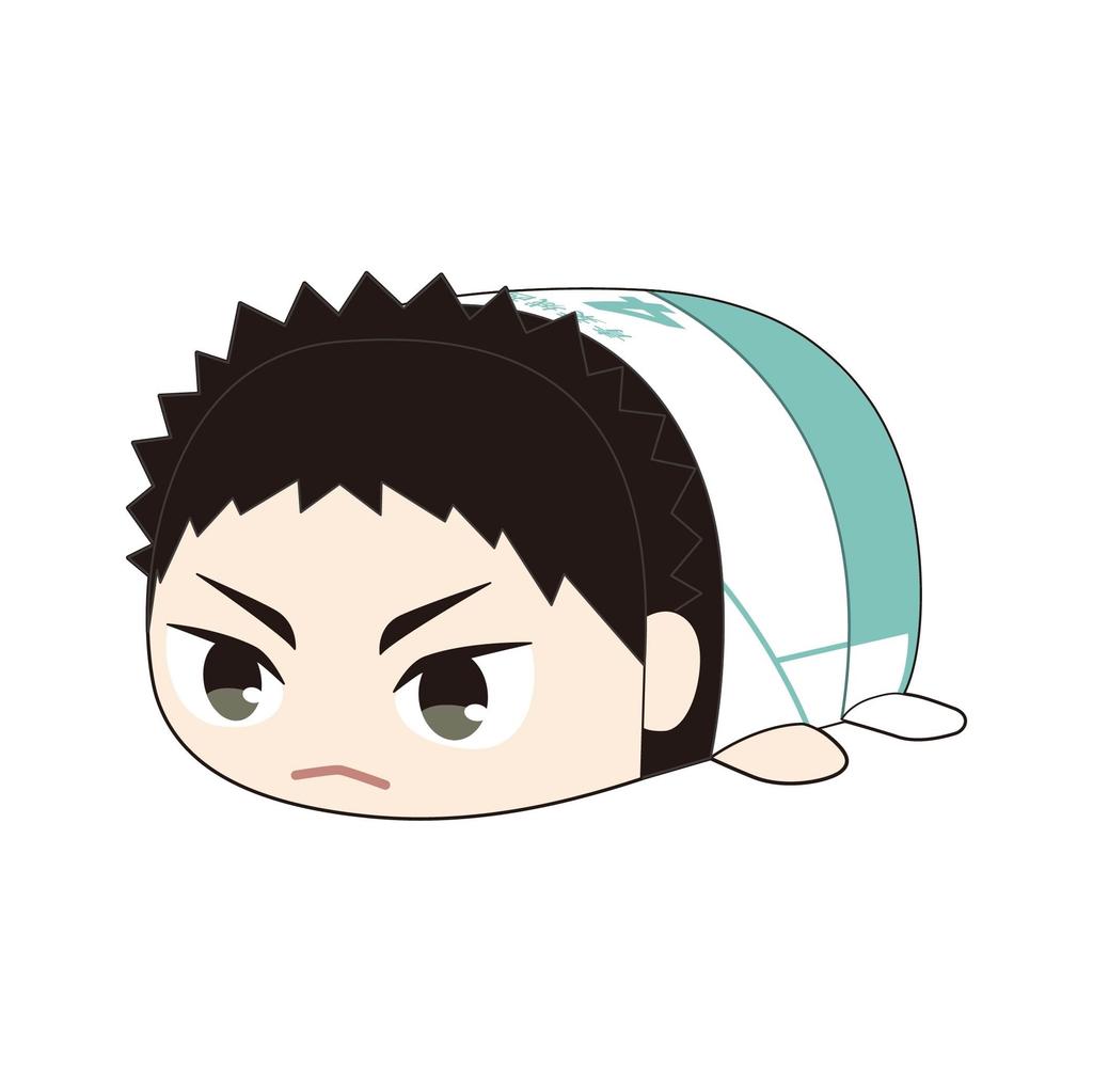 Potekoro Mascot M size Iwaizumi Hajime Haikyu!! E