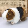 Stuffed Animals Guinea Pig Stuffed Simulation Hamster Doll Plush Mouse Dolls  Room Decor