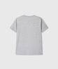 Daibeuin Regular Fit T-Shirts (Melange Gray)
