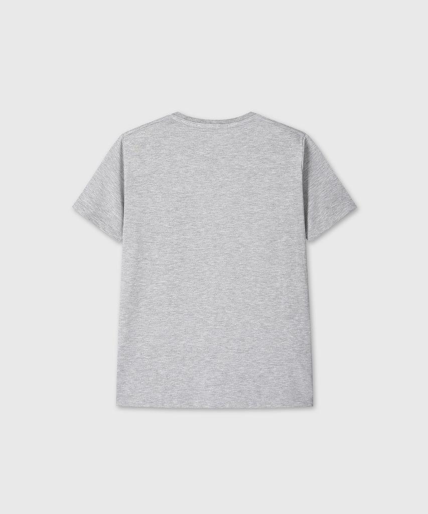 Daibeuin Regular Fit T-Shirts (Melange Gray)