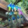 Room Mini Decoration Home Garden Wedding Feathers Artificial Birds Emulation Bird Fake Peacock